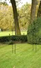 Rosenbogen Esschert’s Garden Schnörkel 39 x 5 x 80,5 cm Produktbild-Vorschau 5