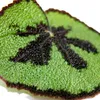 Listová Begonia - Begonia masoniana Mountain - hnedé listy Náhled obrázku produktu 4