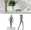Verplaatsbare grijze poppensfiguur | PVC-articulatiepop met Productafbeelding-voorbeeld 2