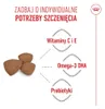 Royal Canin Mini Puppy, Welpe, Klein (5-10 kg), Geflügel, Produktbild-Vorschau 4