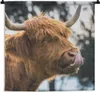 MuchoWow® Wandteppich Wandbehang Schottischer Hochländer - Produktbild-Vorschau 1