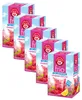 Czajniczek frio malina cytryna herbata owocowa cold brew 5 Podgląd zdjęcia produktu 1
