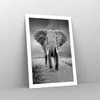 Poster - Poster ohne Rahmen - Elefant Wildnis Natur - 50x70 Produktbild-Vorschau 7