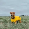 Hunter Hunde-Regenmantel Milford, Größe:35 cm, Farbe:gelb Produktbild-Vorschau 4