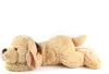 A plush toy dog lying on a white background. Podgląd zdjęcia produktu