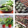 Produktion Blumentopf P24 7L Runder Samentopf Mit Rand Produktbild-Vorschau 13