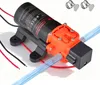 A black and orange 12V DC diaphragm water pump with clear tubing and two hose clamps is shown on a white background. Podgląd zdjęcia produktu