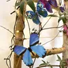 Oblique Unique 3D Schmetterlinge 12er Set für die Wand zum Produktbild-Vorschau 2