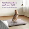 A cat is playing with a toy on a rug. Anteprima dell’immagine prodotto