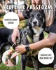 RUDELKÖNIG Hundegeschirr Bella Grün Größe L – Gepolstertes Produktbild-Vorschau 3