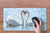MuchoWow® Mauspad Mousepad Vögel - Schwan - Wasser - Liebe Produktbild-Vorschau 3