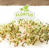 Keimsprossen Kresse (200 g) |Keimsprossen von FLORTUS Produktbild-Vorschau 5