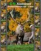 ROLLEI D61T1AW Caméra de chasse (WiFi, optique camouflage) Voir les images du produit 23