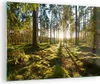 Bilder auf glas - Wald Baum Natur - 70x50cm - Glasbilder - Produktbild-Vorschau 1