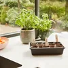 SIENA GARDEN Zimmergewächshaus Midi-Grow Produktbild-Vorschau 2