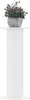 vidaXL Support pour plantes 2 pcs. Blanc 30x30x95 cm Bois Voir les images du produit 2