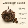 Kiefernzapfen 1 kg ca. 150 Stk 3-5 cm Pinus sylvestris Produktbild-Vorschau 2
