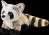 Warmies Waschbär, 1 St. Wärmekissen Produktbild-Vorschau 4