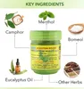 A marketing image showing a product with its key ingredients illustrated around it. Anteprima dell’immagine prodotto