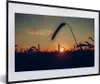 MuchoWow® Gerahmtes Poster Gras - Herbst - Sonnenuntergang Produktbild-Vorschau 1