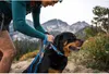 Ruffwear Web Reaction™ Hundehalsband Produktbild-Vorschau 7