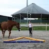 A woman is training a horse in an outdoor arena with a covered structure in the background. Náhľad obrázku produktu