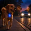 Luce di sicurezza a LED per cani e gatti, ciondolo in Anteprima dell’immagine prodotto 3
