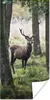 MuchoWow® Poster Hirsche - Bäume - Gras 60x120 cm - Produktbild-Vorschau 1