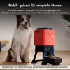 Molly&Cody 14L Automatischer Futterautomaten Futterspender, Produktbild-Vorschau 4