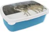 KitchenYeah® Lunchbox Brotzeit Brotdose 17x11 cm Wolf - Produktbild-Vorschau 1