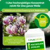 Purgrün Magnoliendünger 1 Liter, Produktbild-Vorschau 4