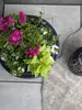 HEOS DLHEN400 runder Blumentopf mit Einsatz | Anthrazit Produktbild-Vorschau 7