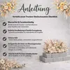 Trocken Steckschaum Rund 22x7cm für Trockenblumen & Produktbild-Vorschau 5