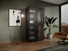 Drehtürenschrank, Falttürenschrank 2-türig Schrank mit Produktbild-Vorschau 5
