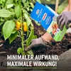 Substral Langezeit Depotdünger Obst & Gemüse 750 g Produktbild-Vorschau 3