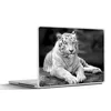 MuchoWow® Laptop Aufkleber Sticker Cover Tiger - Baum - Produktbild-Vorschau 1