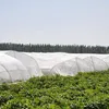 Tg71989 Síť Proti Hmyzu Na Ochranu Lůžka 2X30M 80 Ok Náhled obrázku produktu 11