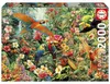 Educa - Puzzel voor volwassenen, 2000 stukjes | Vogels van Productafbeelding-voorbeeld 2