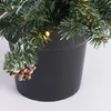 Black Box Trees Creston Set mit 2 Weihnachtsbäumen und 1 Produktbild-Vorschau 5