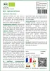 SAFLAX  -- Epinard d'hiver - 250 graines - Spinacia Voir les images du produit 3