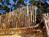 A wooden fence made of natural branches is erected on a sandy dune, with pine trees in the background. Produktbild-Vorschau