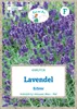 Lavendel Echter | Lavendelsamen von Grüne Fee [MHD 01/2025] Produktbild-Vorschau 3