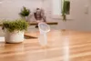 A Haakaa breast pump sits on a wooden countertop next to a potted plant in a kitchen setting. Náhled obrázku produktu