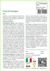 SAFLAX  - Prato di montagna - 1000 semi - Mix Anteprima dell’immagine prodotto 3