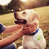 Hundekotbeutel Set - 50 Rollen + 2 Spender Produktbild-Vorschau 1
