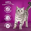 WHISKAS® Beutel Trocken Adult 1+ mit Huhn 3 x 1,9kg Produktbild-Vorschau 5