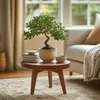 Bonsai - Zelkova serrata - Wysokość 20-25cm - ⌀15cm Podgląd zdjęcia produktu 6