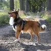 Szelki Duvoplus EXPLOR Ultimate Fit No-Pull – kolor Podgląd zdjęcia produktu 6