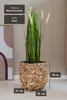 VIVANNO Pot de fleurs jacinthe d'eau WILD cube, naturel Voir les images du produit 4