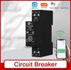 Tuya WiFi Smart Circuit Breaker 1P 63A Szyna DIN Podgląd zdjęcia produktu 8